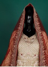 Silk Wedding Indo Western - 4